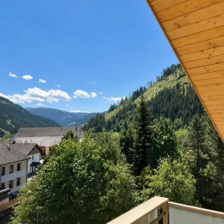 Near Hiking And Skiing In Nockberge Apartament